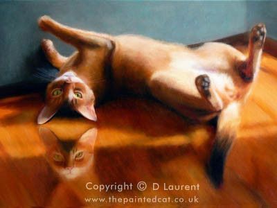 Chats &  chiens de  Denise Laurent