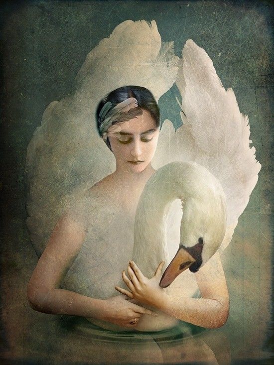 12-Beaux tableaux de Catrin Welz-Stein 