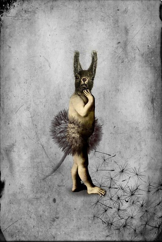 12-Beaux tableaux de Catrin Welz-Stein