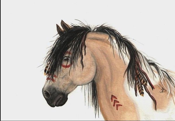 Animaux : chevaux de Amylyn Bihrle
