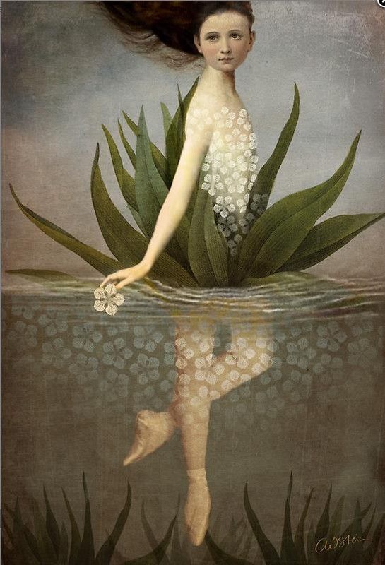 12-Beaux tableaux de Catrin Welz-Stein