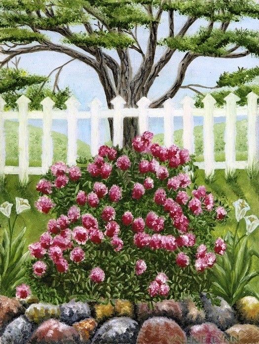 30-Fleurs fruits jardins en peinture 