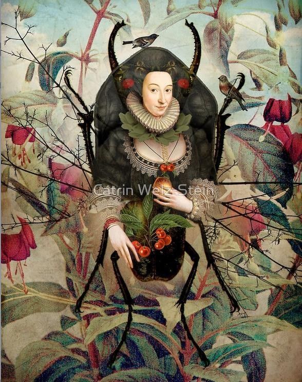 12-Beaux tableaux de Catrin Welz-Stein 