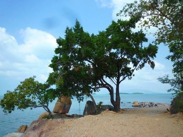 Voyage à Koh Samui  ( ile Thailandaise )