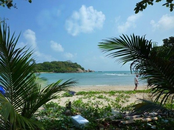 Voyage à Koh Samui  ( ile Thailandaise )