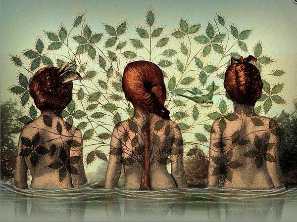 12-Beaux tableaux de Catrin Welz-Stein