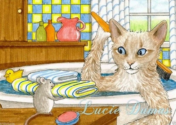 35-Illustrations de Lucie Dumas