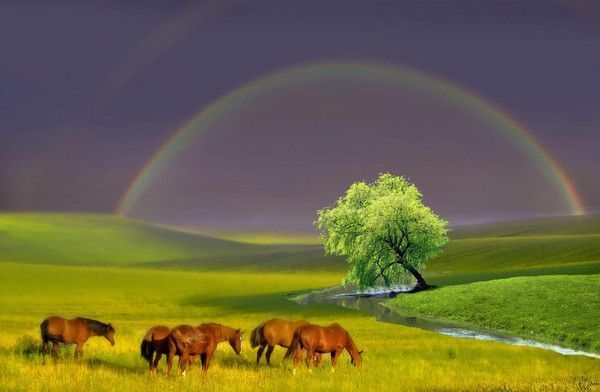 Photographe : Igor Zenin