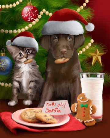 Chats chiens mignonnes images B  ( T.W)