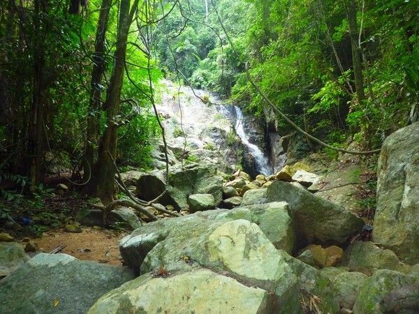 Voyage à Kho Samui  ( ile Thailandaise )