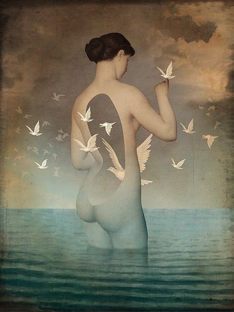 12-Beaux tableaux de Catrin Welz-Stein 