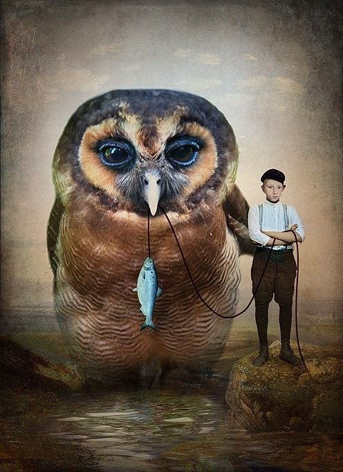 12-Beaux tableaux de Catrin Welz-Stein