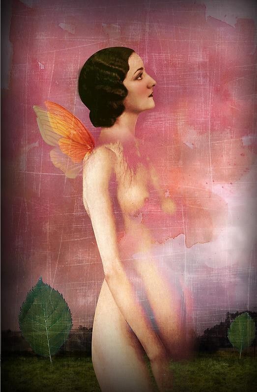 12-Beaux tableaux de Catrin Welz-Stein