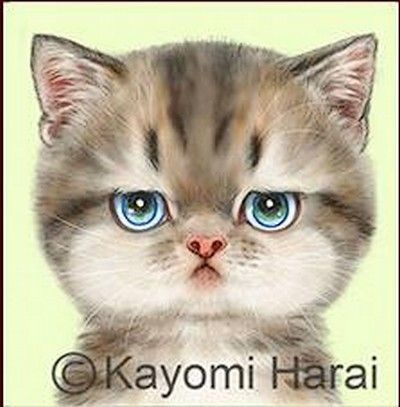 38-Mignonnes illustrations de Kayomi Harai