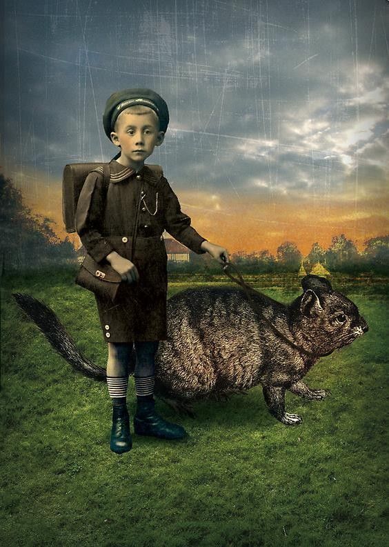 12-Beaux tableaux de Catrin Welz-Stein