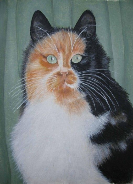 chats en peintures ( serie A )  (M.Y )