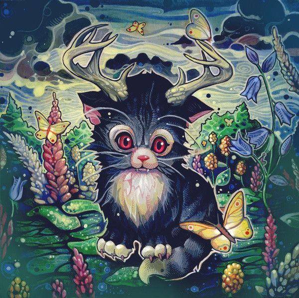 Illustrations de Tim Shumate