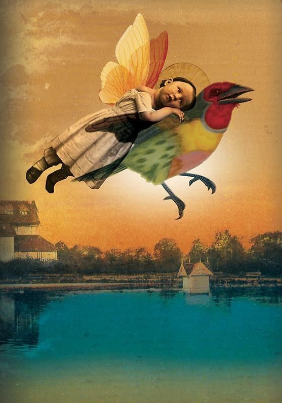 12-Beaux tableaux de Catrin Welz-Stein