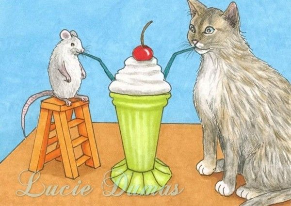 35-Illustrations de Lucie Dumas