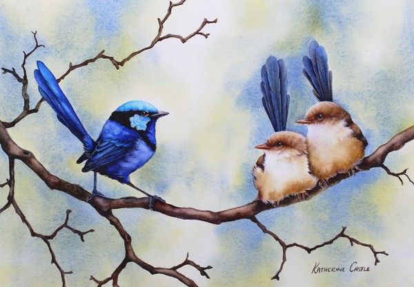 16-oiseaux (& Animaux) peints par K.Castle