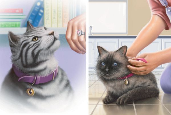 Chats ou chien en illustrations  serie B       ( L.O )