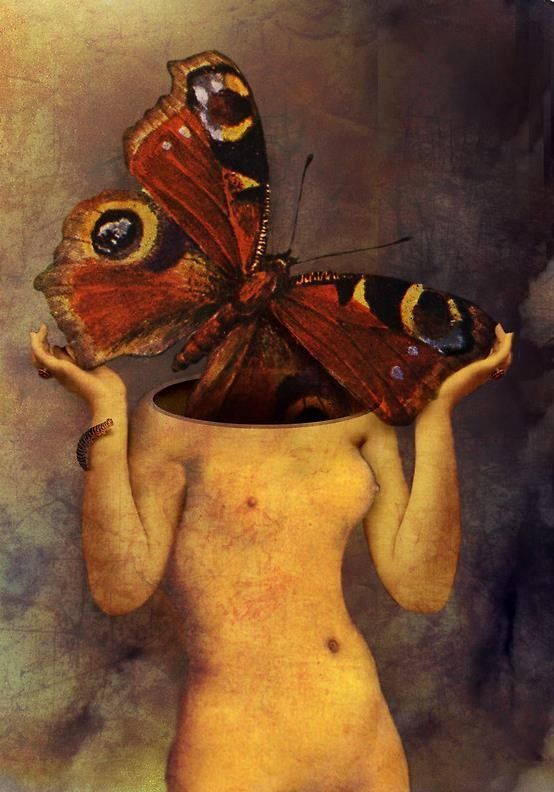 12-Beaux tableaux de Catrin Welz-Stein