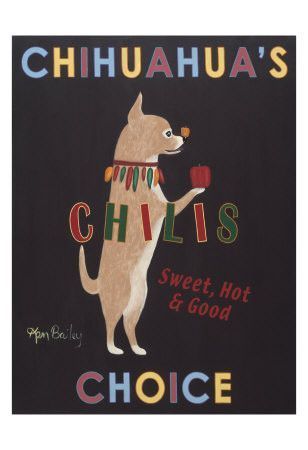 Affiches chiens et chats 