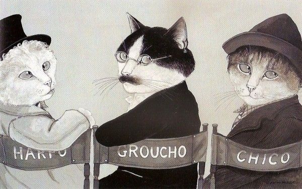 Chats / coffre aux tresors  D