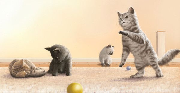 Chats ou chien en illustrations  serie B       ( L.O )