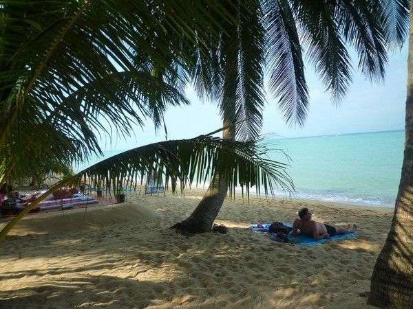 Voyage à Koh Samui  ( ile Thailandaise )