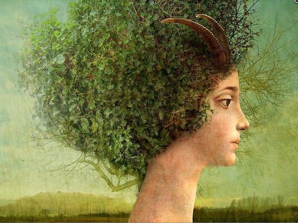 12-Beaux tableaux de Catrin Welz-Stein