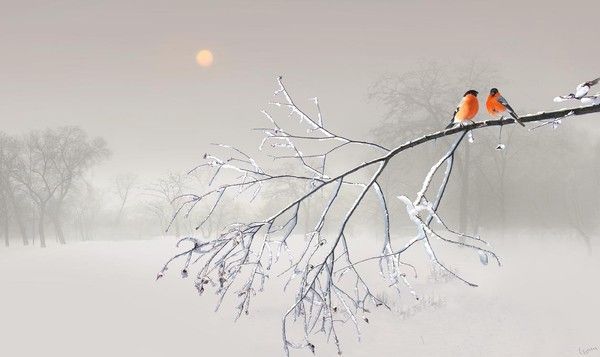 Photographe : Igor Zenin