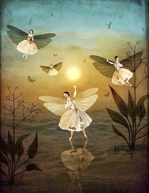 12-Beaux tableaux de Catrin Welz-Stein 