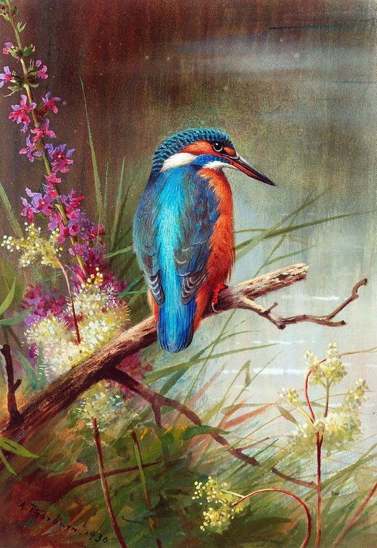 16-Oiseaux peints divers artistes (A.T  )