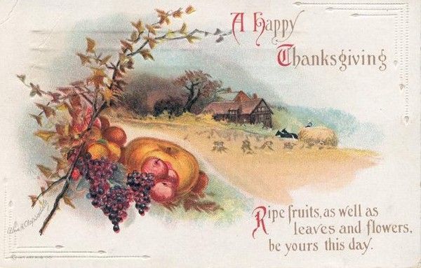 15- Cartes vintage A ( fêtes diverses) :Thanksgiving