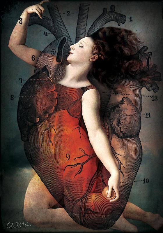 12-Beaux tableaux de Catrin Welz-Stein