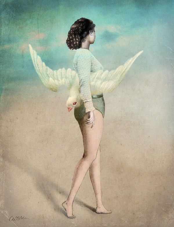 12-Beaux tableaux de Catrin Welz-Stein