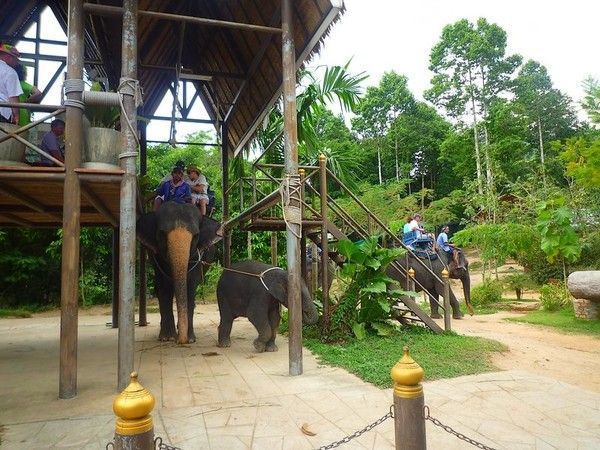 Voyage à Koh Samui  ( ile Thailandaise )