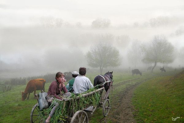 Photographe : Igor Zenin