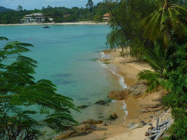 Voyage à Koh Samui  ( ile Thailandaise )