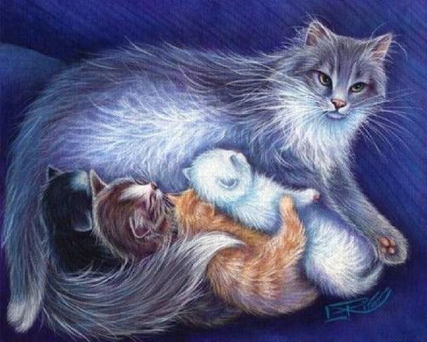 14-chats peints serie B  (  )