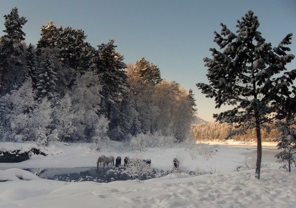 Hiver fonds d'ecrans en photos