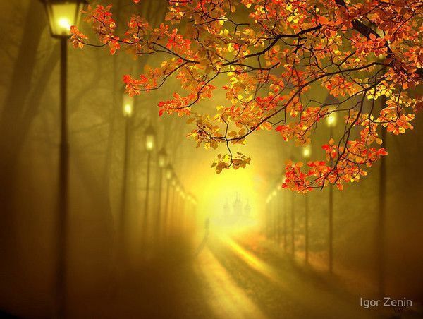 Photographe : Igor Zenin