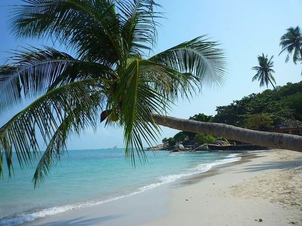 Voyage à Koh Samui  ( ile Thailandaise )