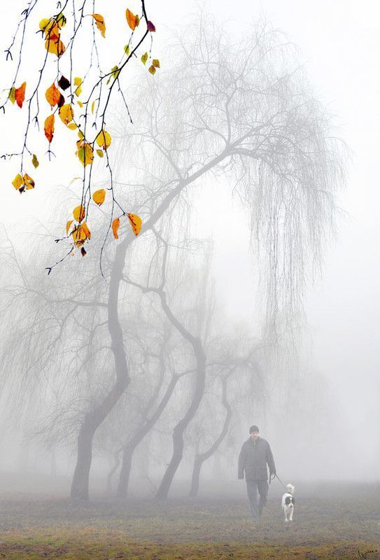 Photographe : Igor Zenin