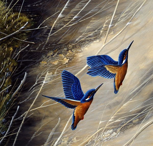 16-Oiseaux peints divers artistes