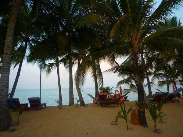 Voyage à Koh Samui  ( ile Thailandaise )