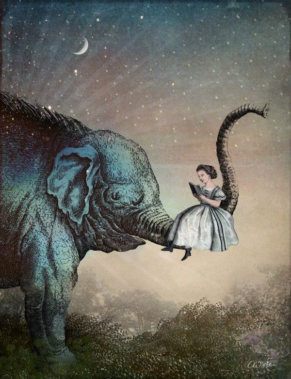 12-Beaux tableaux de Catrin Welz-Stein