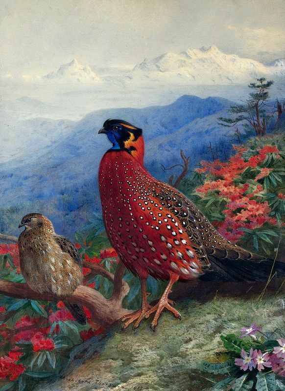16-Oiseaux peints divers artistes (A.T  )