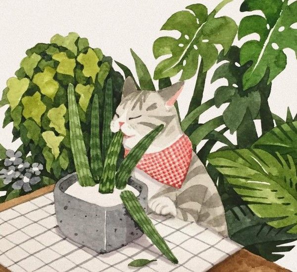 35-Illustrations artistes coreens avec animaux (G.J)